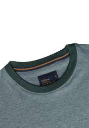 13526 YannSi Mini Stripe + - Evergreen