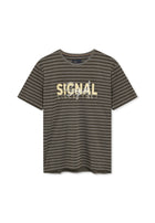 13656 LewiSi Subtle Stripe Print - Brown Coffee