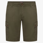 KenSi Shorts+ - Green Wood