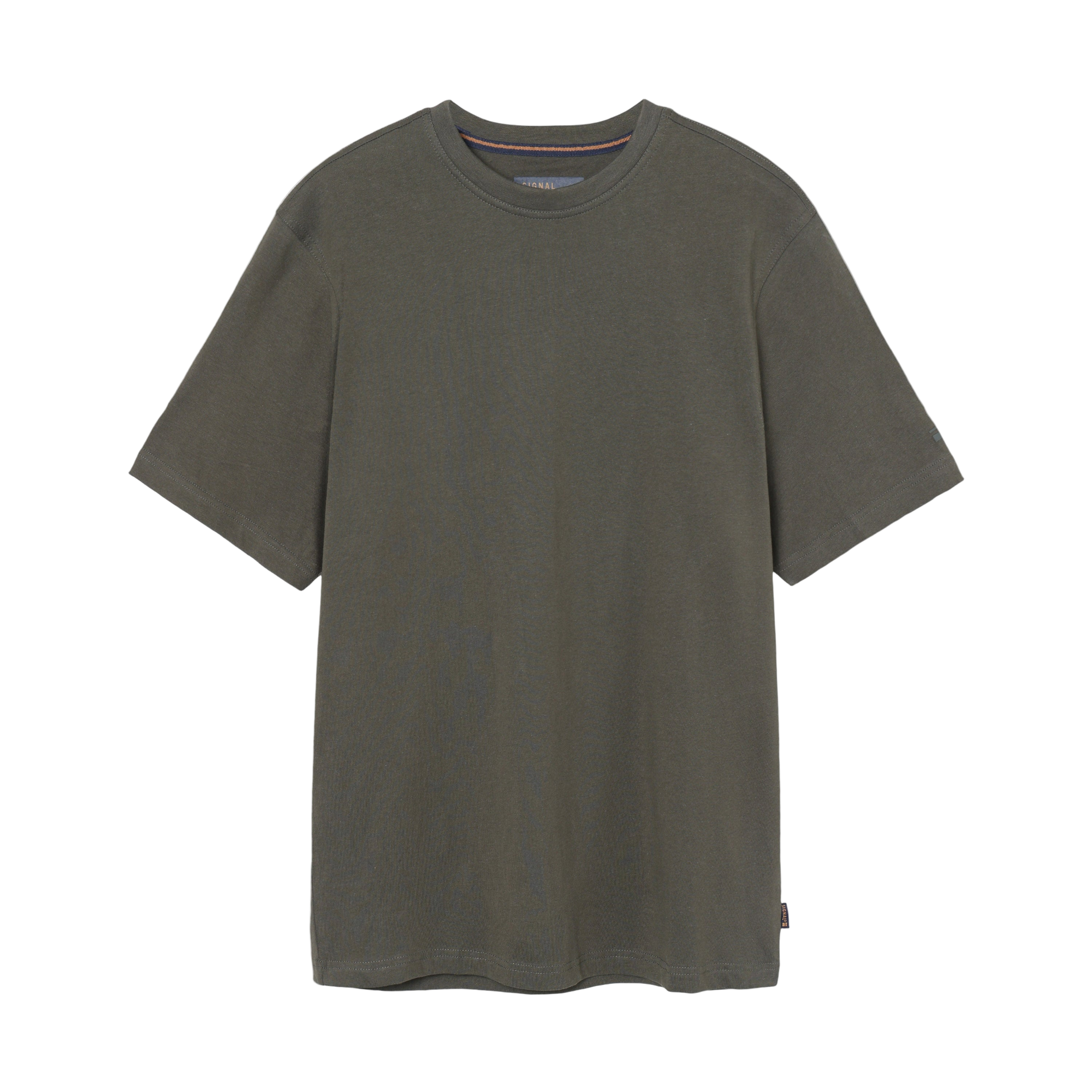 EddySi + T-shir/Top - Beluga green