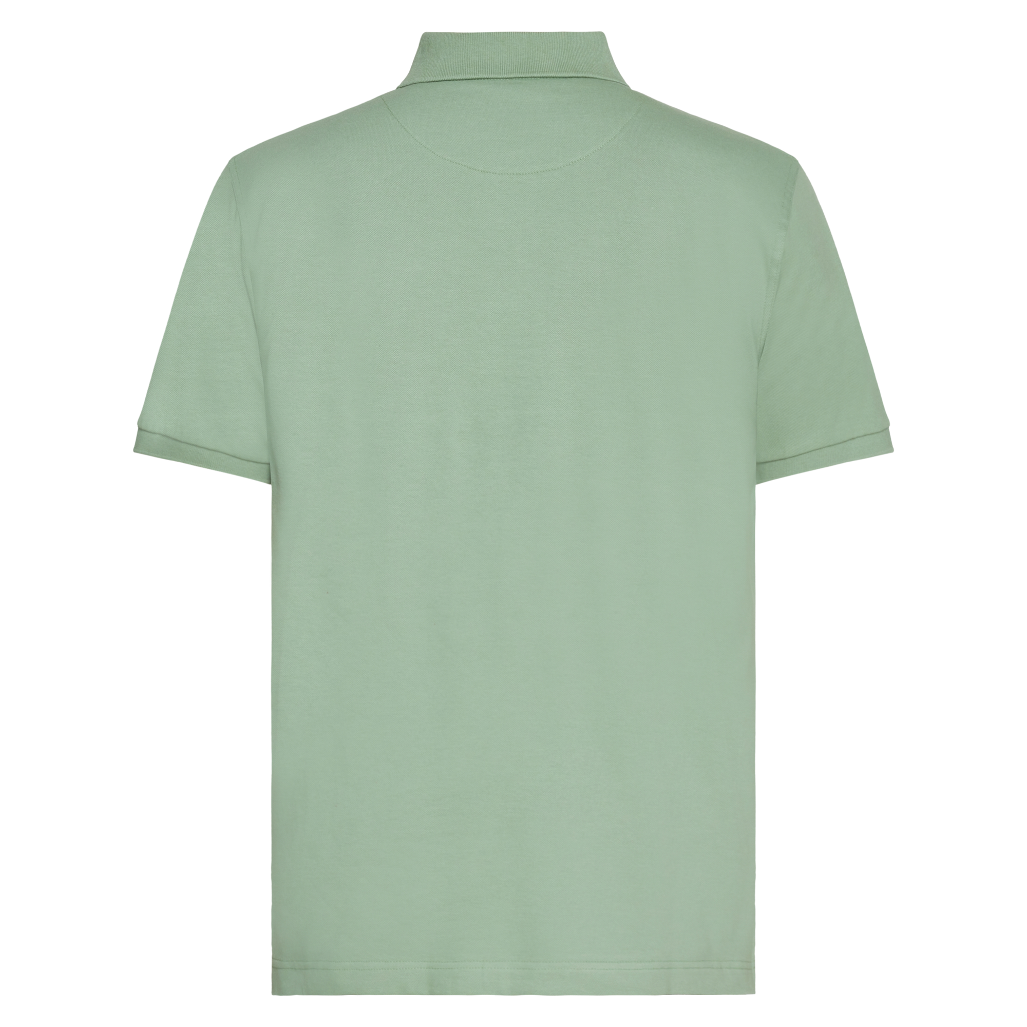 NickySi + Polo - Green Bay