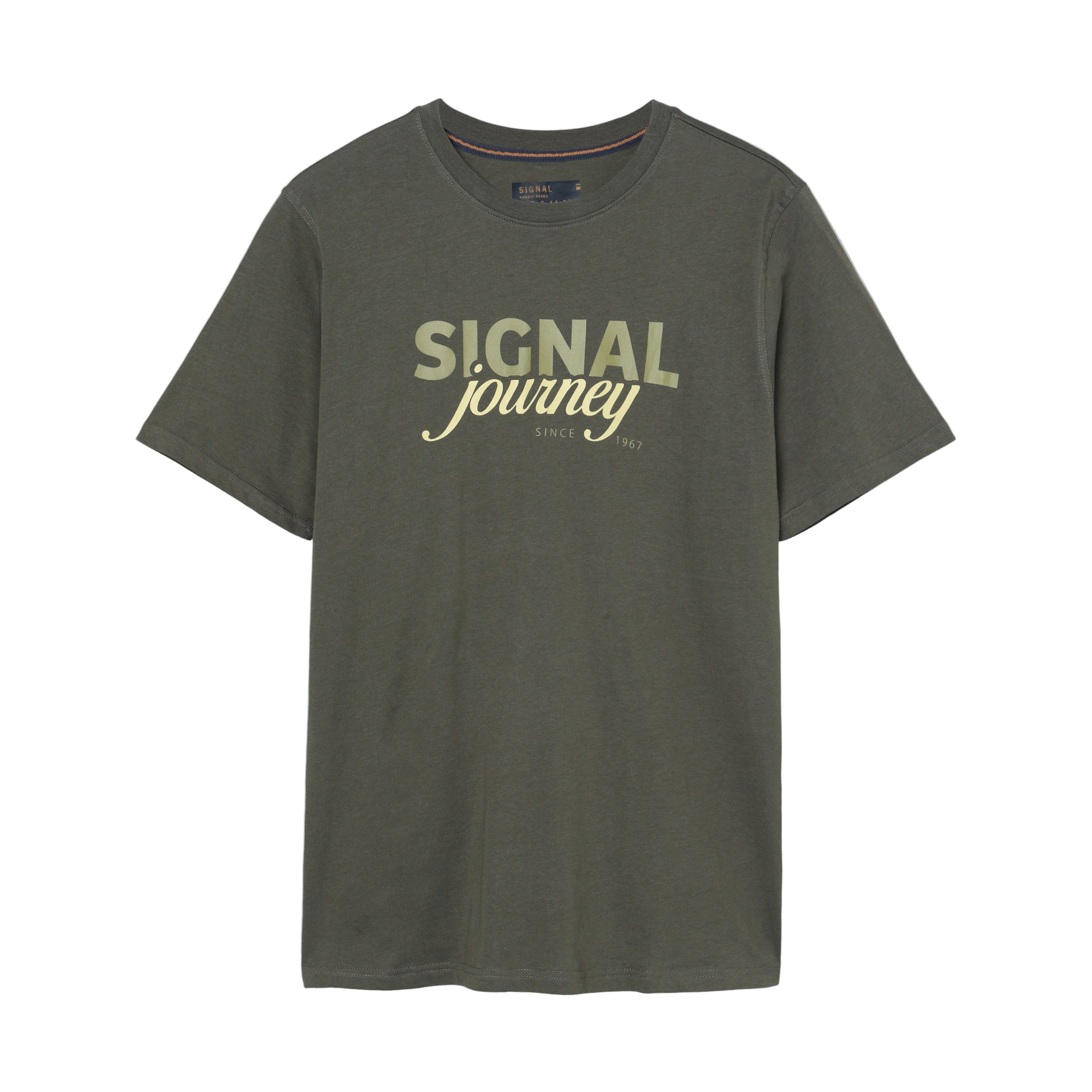 DizzySi Logo Tee + T-shir/Top - Beluga green
