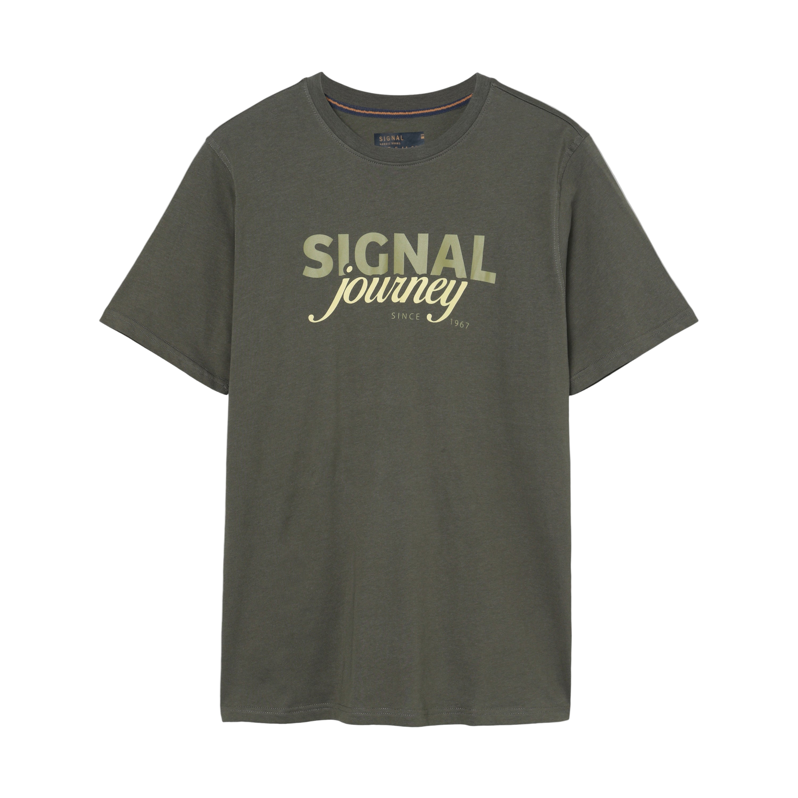 DizzySi Logo Tee + T-shir/Top - Beluga green