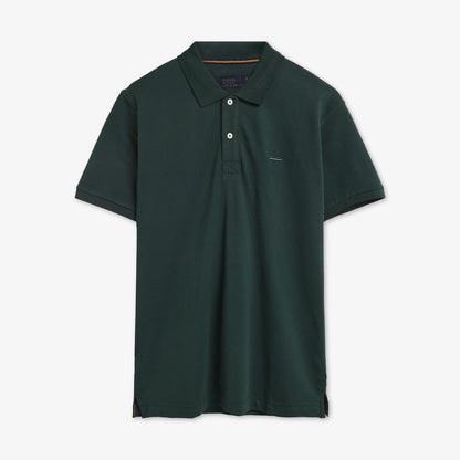 NickySi + - Evergreen