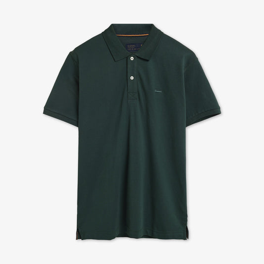 NickySi + - Evergreen