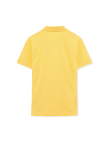 NickySi + - Yellow Buff