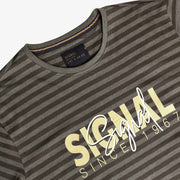 13656 LewiSi Subtle Stripe Print - Brown Coffee