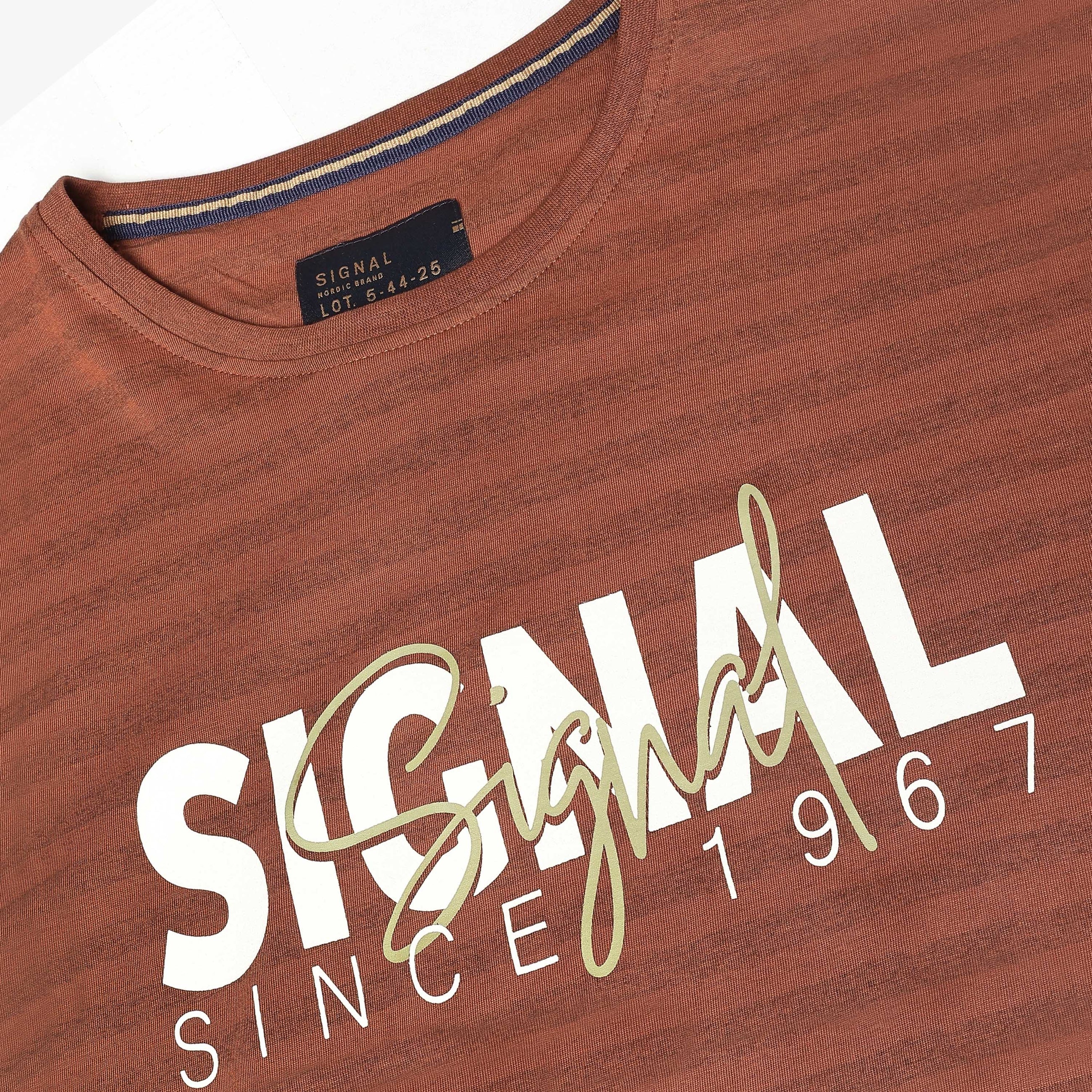 13656 LewiSi Subtle Stripe Print - Rusty Red