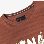 13656 LewiSi Subtle Stripe Print - Rusty Red