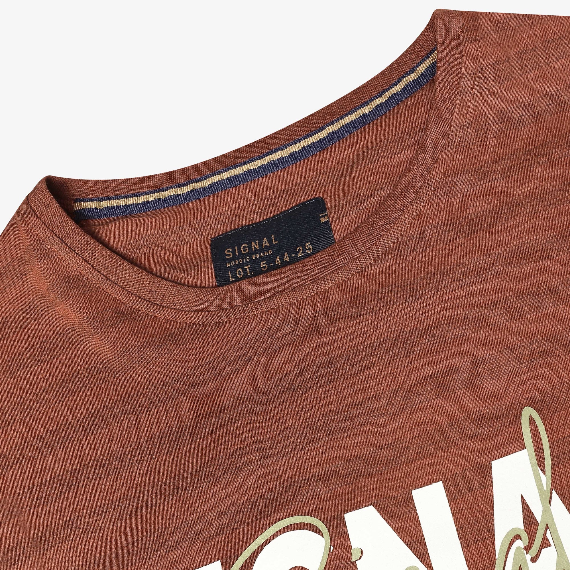 13656 LewiSi Subtle Stripe Print - Rusty Red