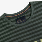 13656 LewiSi Subtle Stripe Print - Evergreen
