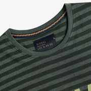 13656 LewiSi Subtle Stripe Print - Evergreen